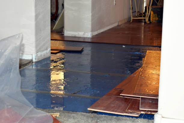 Professional Water Damage Restoration technician working in Kingdom City, MO
